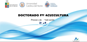 Ve el video del Proceso de acreditación del Doctorado en acuicultura.